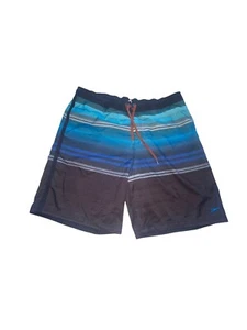 Speedo Swim Trunks Mens XL Board Shorts Striped Blue Mesh Lined Pockets - Picture 1 of 12