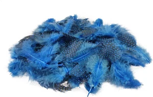 150 Stück blau Deko Federn 6g Perlhuhn Federn Gepunktete Federn Schmuckfedern - Bild 1 von 8