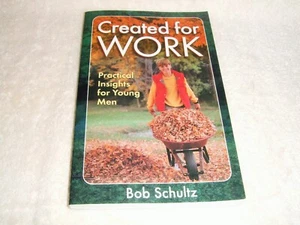 Created for Work: Praktische Einblicke für junge Männer von Bob Schultz ~ Neu - Bild 1 von 6