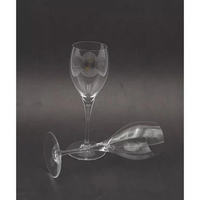 Juego de 2 flautas de champán Baccarat de cristal 8,5" Saint REMY de colección descontinuadas Foto 1 de 4