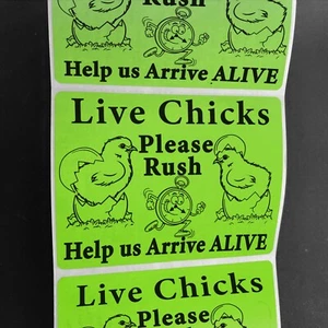 200 Large 4" x 3" Live Chicks Handle with care please Rush Mailing Labels ship - Picture 1 of 10