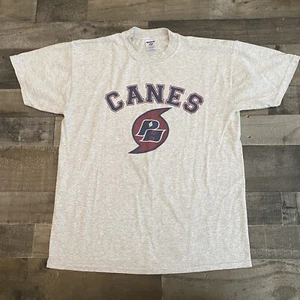 Palm Harbor Canes Florida FL T-Shirt Grey - Picture 1 of 6