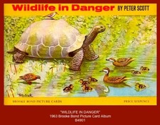 "WILDLIFE IN DANGER" - Brooke Bond Tea Picture Card Album (1963)