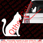 Cat Sticker Vinyl Decal Kitten Silhouette Pet Animal Kitty Car Window Am030