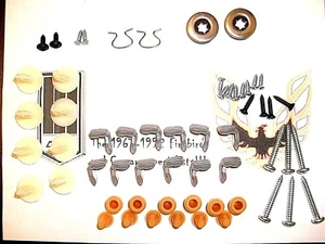 1978 -1981 Camaro Firebird Trans Am Door Panel installation Clip / Fastener kit - Picture 1 of 1