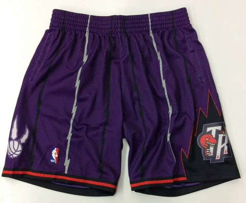 Toronto Raptors Mitchell & Ness NBA Authentic Swingman Men's Mesh Shorts Purple Cover