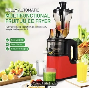 Multi-Functional Fruit And Vegetable Press, Home Masticating Juicer - Picture 1 of 10