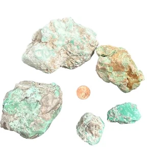 Variscite Lucin Utah rough Natural Edison Bird Mine 820 grams - Picture 1 of 10
