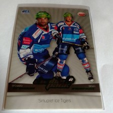 LED Playercard - 2007/08 - Sinupret ICE Tigers Double Pack