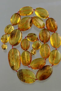 ALL Beads with FOSSIL INSECTS Genuine BALTIC AMBER Necklace 50.2g 190717-3 - Picture 1 of 8