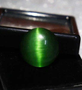 Occhio di Gatto Verde 10-11 Ct Crisoberillo Naturale Pietra Preziosa Sciolta Tonda Taglio Cabochon - Foto 1 di 9