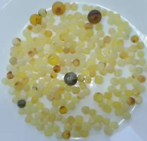 Misbah Bernstein Perlen Kugel Tropfen Baltische Steine Natur Anhänger Set 55g Halskette - Bild 1 von 6
