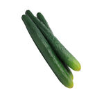 3 Stck. Gurke realistisches Gemüse gefälschtes Lebensmittelmodell für Kinder 30 cm