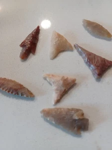 PFEILSPITZEN 7 AUTHENTISCHE NEOLITHISCHE SPITZEN MIT DURCHSICHTIGEM RAHMEN. F2 - Bild 1 von 4