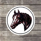 8" Tête de cheval - Cheval de transport, signe hexadécimal écran en soie artiste par Zook fabriqué aux États-Unis