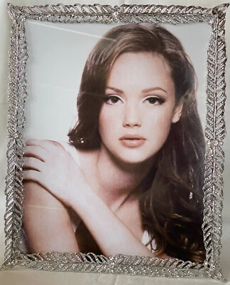 Ciel Collectables Fernandina Frame Hand Made with Swarovski Crystals Enamel - Image 1 of 4