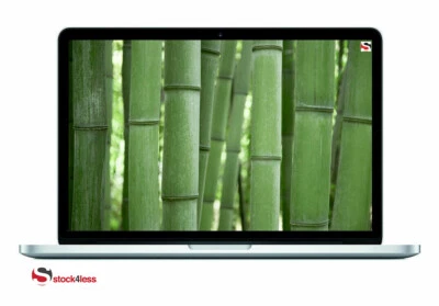 Apple MacBook Pro 13.3in (128GB SSD, Intel Core i5 4th Gen., 2.40 GHz, 4GB RAM) - Image 1 of 4