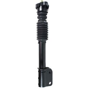 Shock For 87-96 Buick Regal 88-96 Pontiac Grand Prix Rear with Springs