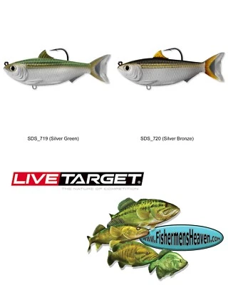 Live Target Scaled Sardine Pilchard 4.5" Swimbait (SDS115MS) Any Saltwater Color - Image 1 of 3