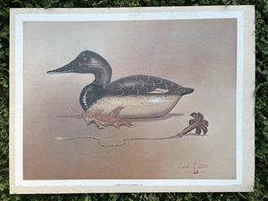 Carol Latta Duck Decoy Lithograph Print - Picture 1 of 1