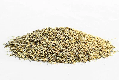 25kg Futterhafer 0,96€/kg I Hafer I Pferdefutter  - Bild 1 von 3