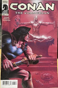 Conan the Cimmerian #13 VF/NM; Dark Horse | Joe Linsner - Unread (box30) - Picture 1 of 1