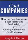 Cool Companies: Comment les meilleures entreprises augmentent les profits et la productivité par Cuttin