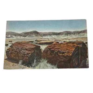Postcard Agatized Log Petrified Forest Arizona Vintage B165 - Picture 1 of 2