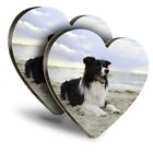 2x Heart MDF Coasters - Collie Dog Beach Happy Dog Puppy  #44640
