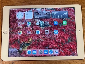 Apple - iPad Pro - 9.7" 1st Gen Wi-fi (A1673) - 256GB - Gold - Picture 1 of 9