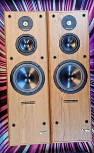 1 Paar Infinity Reference 50 mit neuen Sicken und sehr gutem Zustand - Bild 1 von 6