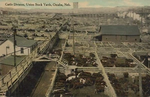 Cattle Division - Union Stock Yards - Omaha, Nebraska - unposted litho - Picture 1 of 3