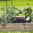 Galvanized Steel Rabbit Guard Wire Fence, 24" X 50'