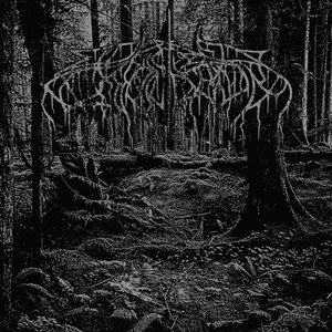 New Music Wolves In The Throne Room "2005 Demo" 12" - Picture 1 of 1