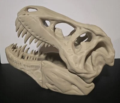 Massive,T-Rex Skull Replica. Jurassic Park *Best Price At This Size.* Best Value - Image 1 of 4