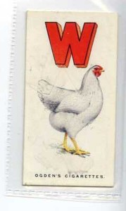 (Jf8225) OGDENS,POULTRY ALPHABET,WYANDOTTE,1924,#23