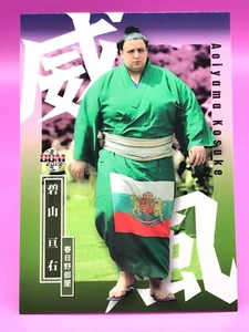 Tarjeta BBM Aoiyama Kosuke Grand Sumo Japón Japonesa Muy Rara No.53 2019 Envío directo - Imagen 1 de 12