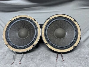 BOZAK  B-209 Early MF Driver Pair. Fantastic Condition. 8 Ohms. Working Fine. - Picture 1 of 9