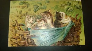 Antique "Lovely CATS ".Post Card - Embossed. Appr. 1905-14 - Picture 1 of 3