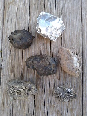 6 pellets (5 med/1 sm) Barn Owl Pellets+ a Small Pkg of Bones. Phoenix, AZ - Image 1 of 4