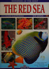 Wonders Of The Deep: The Red Sea