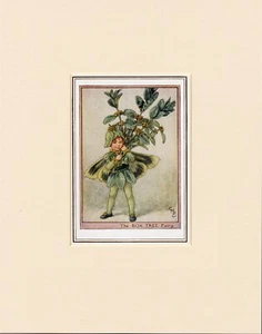 BOX TREE FAIRY Original Vintage 1940's Cecily Mary Barker Print Ready Mounted - Picture 1 of 1