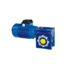 Caja de engranajes monofásica de 1,1 kW motor y gusano 112 rpm salida 25 mm diámetro hueco 34 Nm - Imagen 1 de 5
