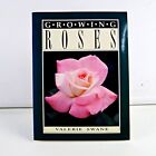 Growing Roses Valerie Swane Garden Tips Pruning Variety Pests Hy Sent Tracked