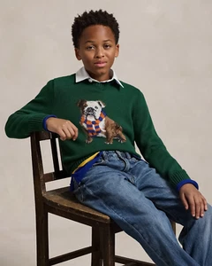 Ralph Lauren Boys Bulldog Intarsia-Knit Sweater Jumper Size 5 - Picture 1 of 5