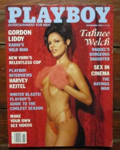 Vintage Playboy Magazine November 1995 With Centerfold - Picture 1 of 2