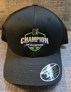 Microsoft Champion Of Champions Logo Baseball Cap Adjustable Strapback New! - Picture 1 of 6
