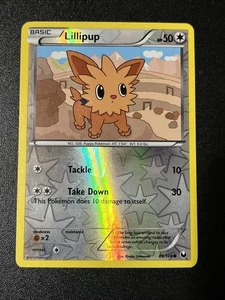 Lillipup 86/108 Holograma Inverso Pokemon TCG LP - Imagen 1 de 2