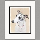 Whippet Dog Original Art Print 8x10 Matted to 11x14