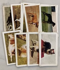 Dogs - Hornimans Tea Cards - Pick You Cards